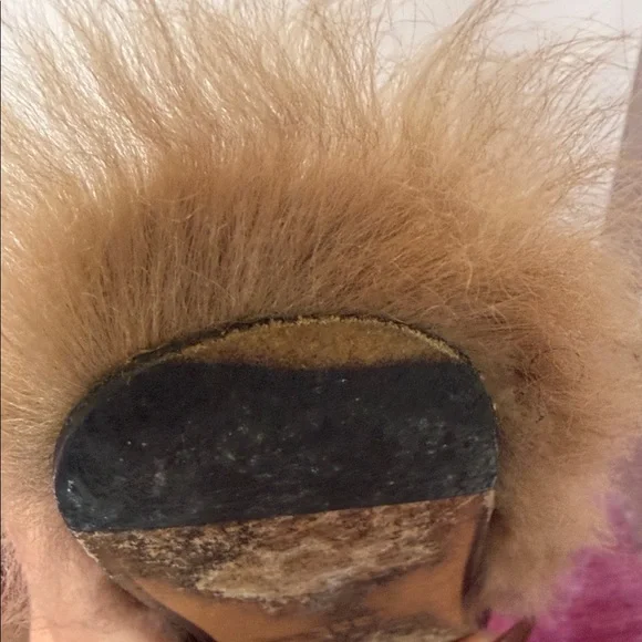 Gucci Black Leather Loafers with Fur Trim - Picture 6 of 6